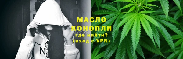 МДПВ Михайлов