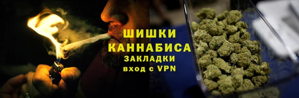 МДПВ Михайлов