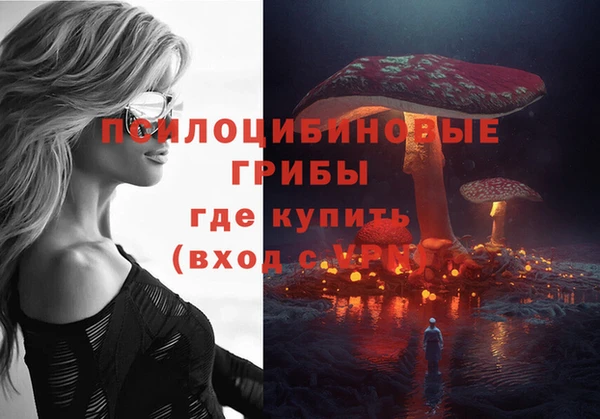 МДПВ Михайлов
