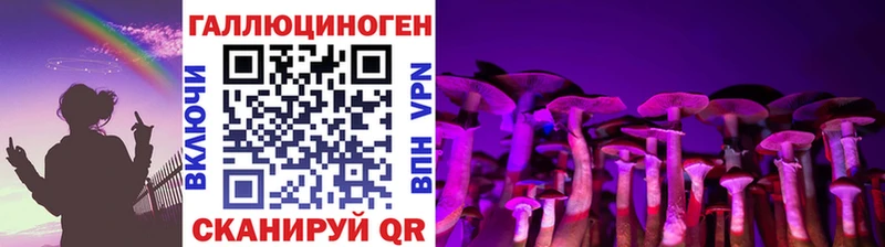 даркнет сайт  Заволжск  Галлюциногенные грибы Psilocybe 